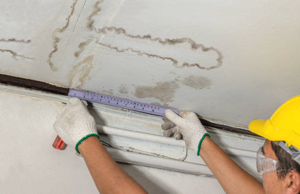 Reliable Water Damage contractor in The Colony, TX by Water Damage Irwin
